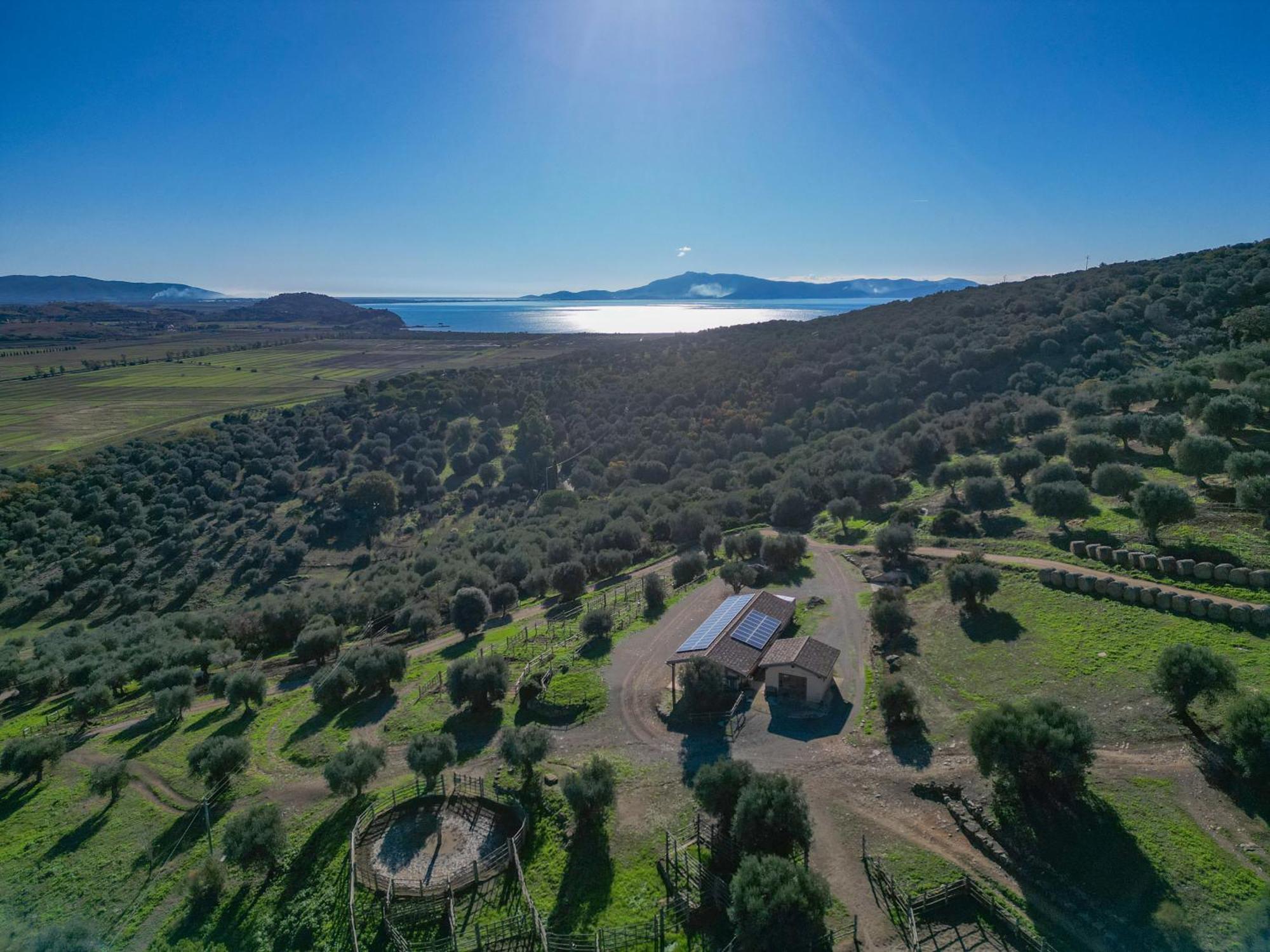 Agriturismo Buratta Fonteblanda Zewnętrze zdjęcie