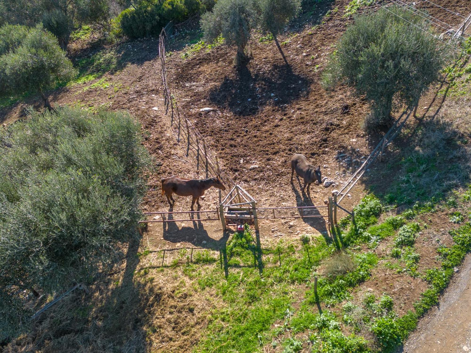 Agriturismo Buratta Fonteblanda Zewnętrze zdjęcie